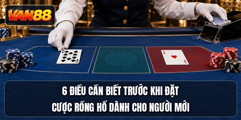 6 điều cần biết trước khi đặt cược Rồng Hổ dành cho người mới