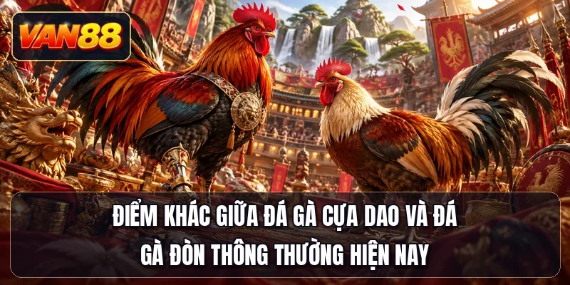 Điểm khác giữa đá gà cựa dao và đá gà đòn thông thường hiện nay