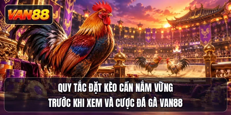 Quy tắc đặt kèo cần nắm vững trước khi xem và cược đá gà Van88